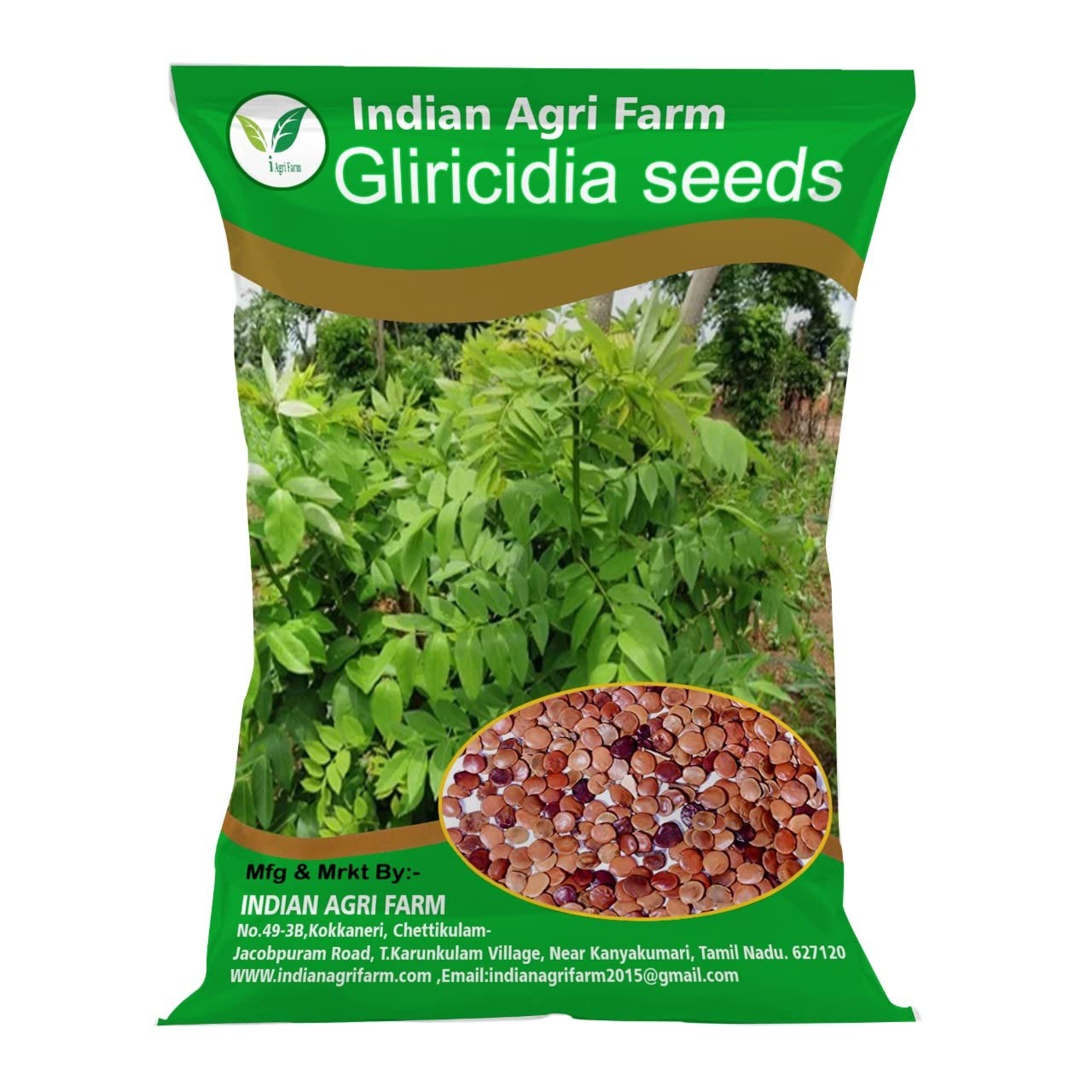 Gliricidia Seed - 1 Kg - Gliricidia Sepium -Tree Seeds