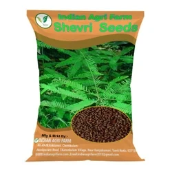 Shevri Seed - 1 Kg - Sesbania Sesban Fodder Seed for Cultivation