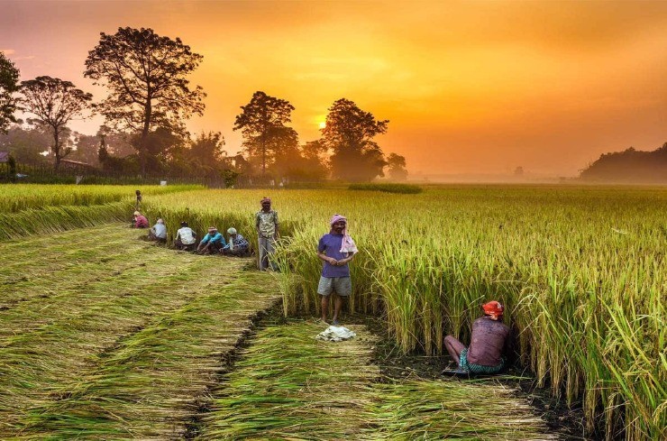 Indian Agri Farm promo