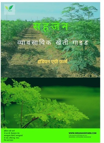 Moringa Cultivation Guide - Hindi
