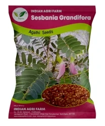 Agathi Seed - 1 Kg - Sesbania - Gaach Munga - Humming Bird Tree Seed