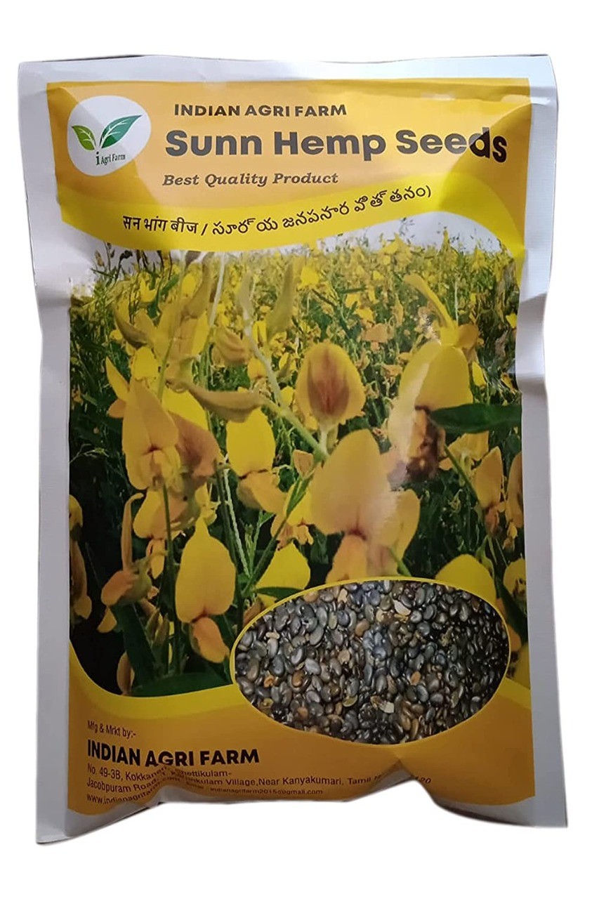 Sunhemp / Sanappu Seed - 1 Kg - Crotalaria Juncea - Green Manure Seed