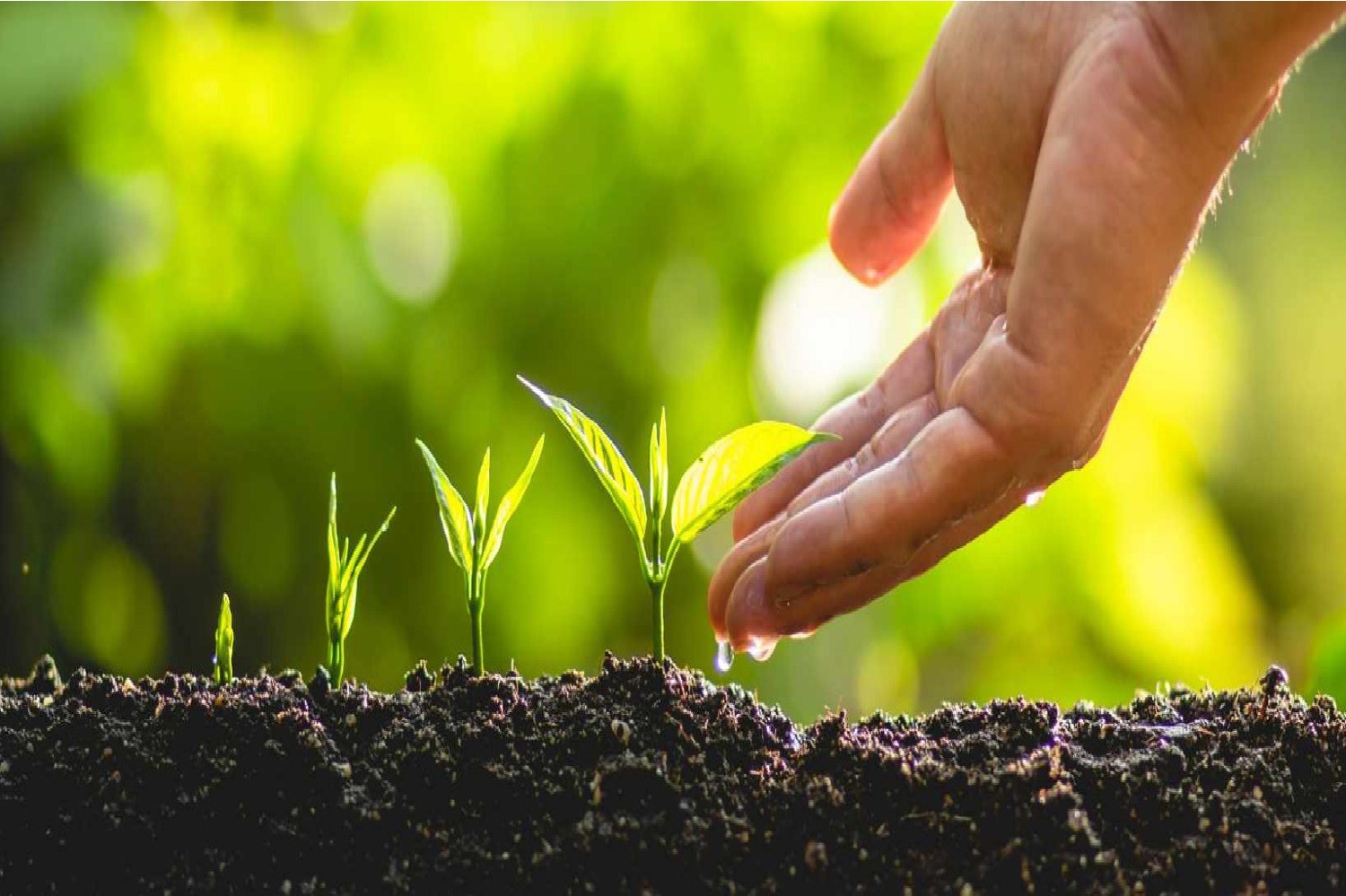 Indian Agri Farm promo