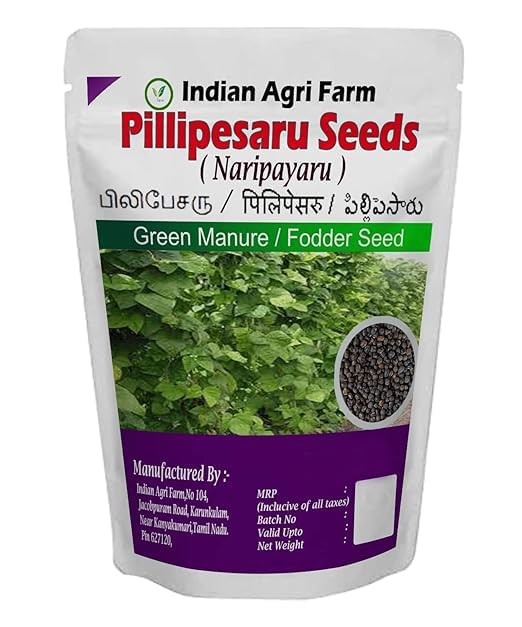 Pillipesara Seed - 1 Kg - Phaseolus Trilobus - Green Fodder - Green Manure Seed