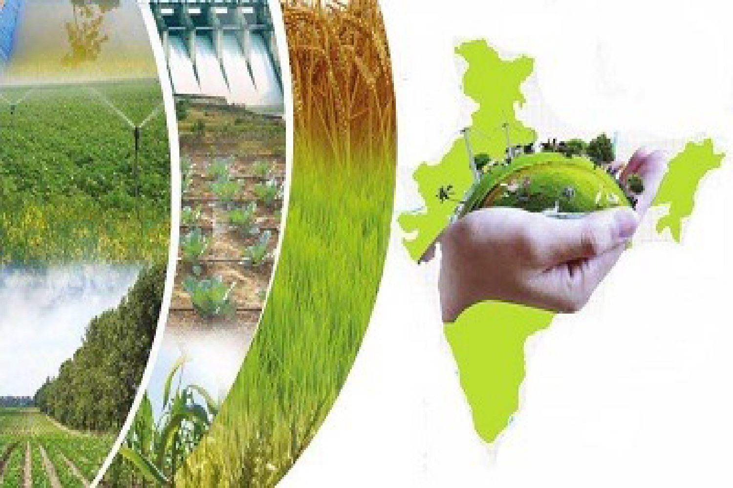 Indian Agri Farm promo