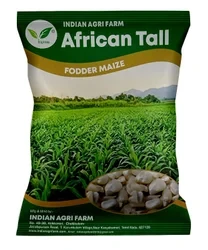 African Tall Fodder Maize Seed - 1 Kg - Fodder Maize - Makka (Zea Mays) Fodder Seeds