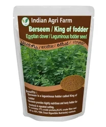 Berseem Seed - 1Kg - Egyptian clover -Multicut Animal Green Fodder Seed